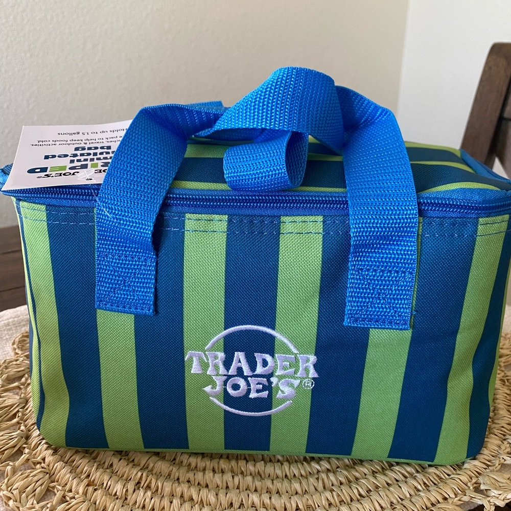 Trader Joe's Blue & Green Striped Insulated Lunch Bag